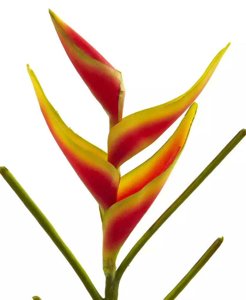 商品NEARLY NATURAL|26-In. Heliconia Artificial Flower, Set of 4,价格¥505,第3张图片详细描述