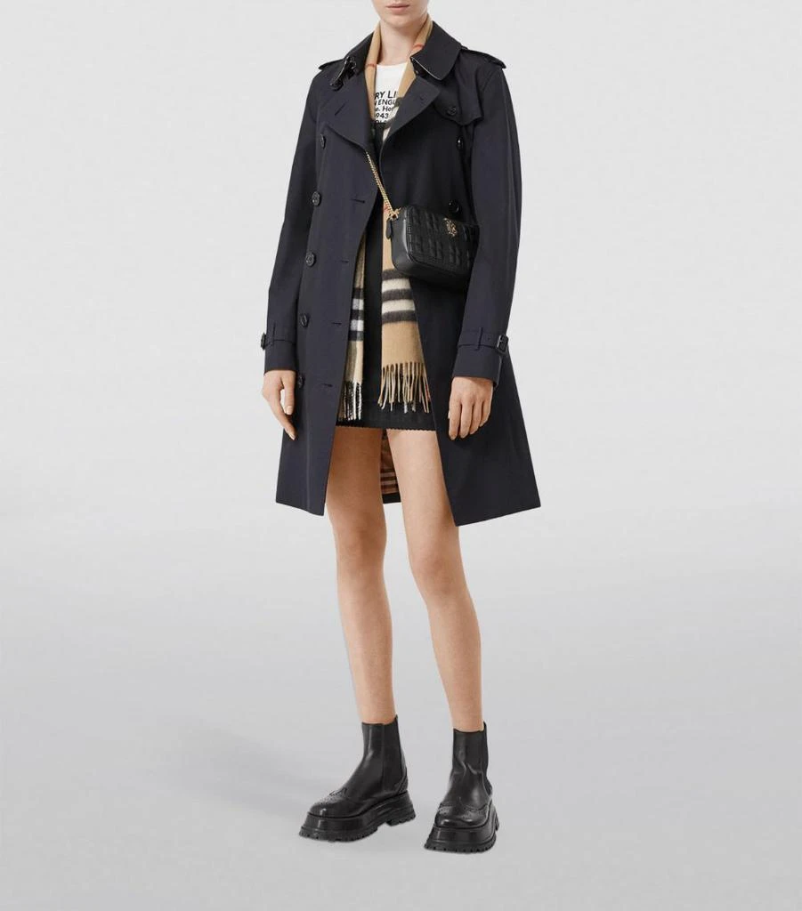 商品Burberry|女式 巴宝莉 格纹围巾,价格¥4180,第2张图片详细描述