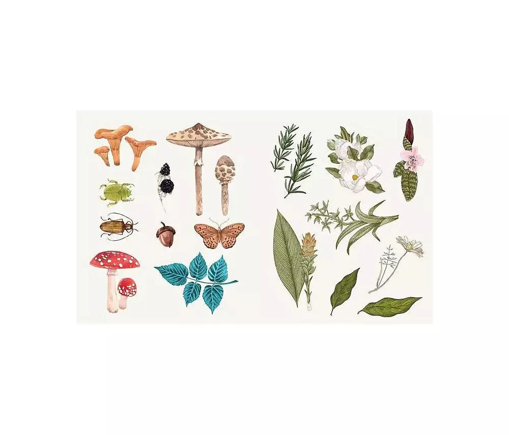 商品Barnes & Noble|Sticker Studio - Apothecary - A Sticker Gallery for Modern Mystics by Chloe Standish,价格¥187,第3张图片详细描述