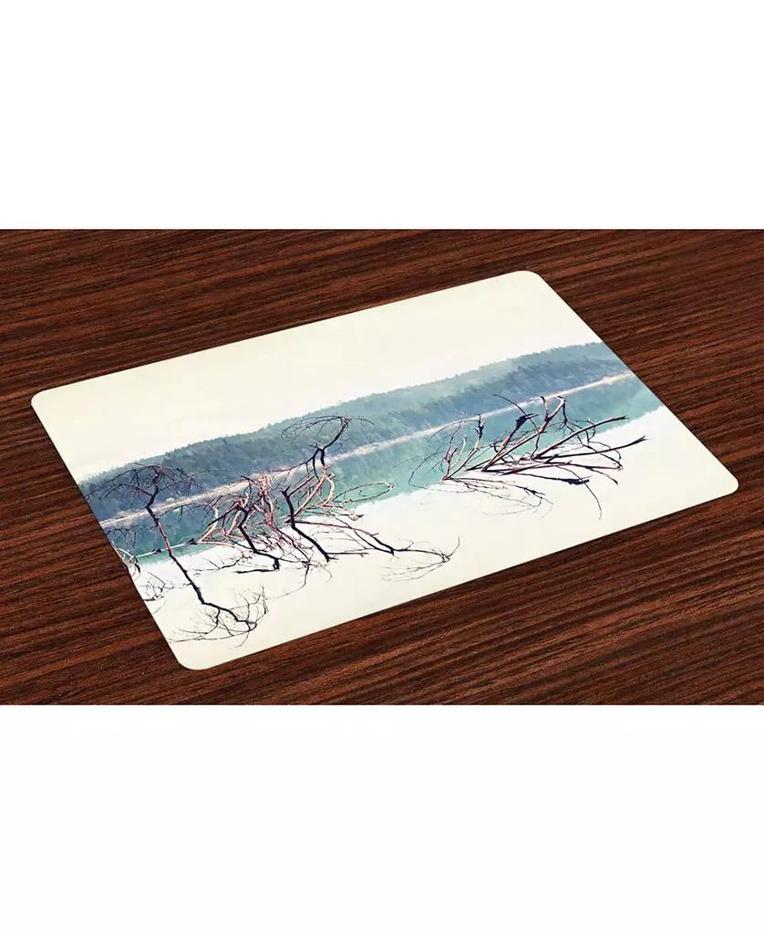 商品Ambesonne|Driftwood Place Mats, Set of 4,价格¥225,第1张图片