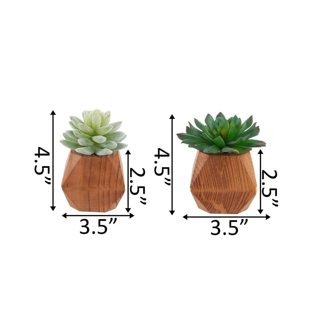 商品Flora Bunda|4.5" Artificial Succulent in Wood Pot, Set of 2,价格¥210,第5张图片详细描述