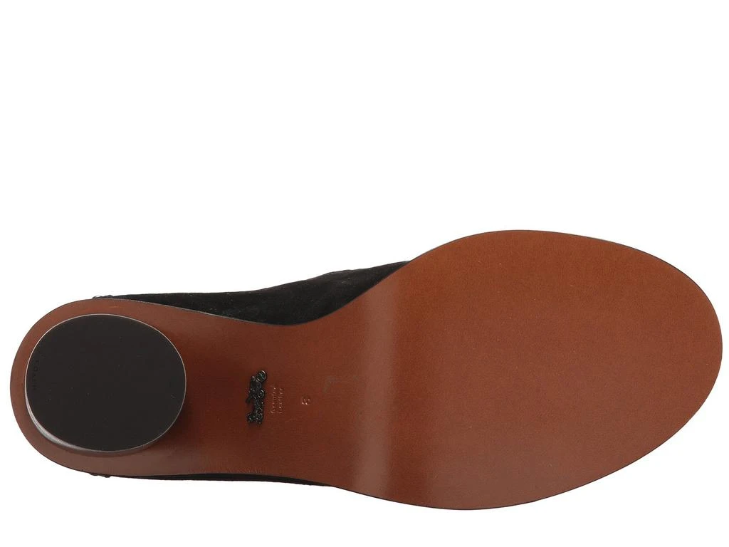 商品Coach|Buckle Bootie with Prairie Rivets,价格¥485,第3张图片详细描述