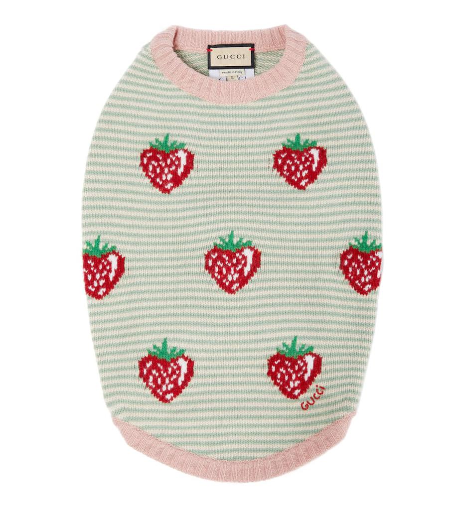 Exclusive to Mytheresa – Strawberry intarsia-knit dog coat商品第1张图片规格展示