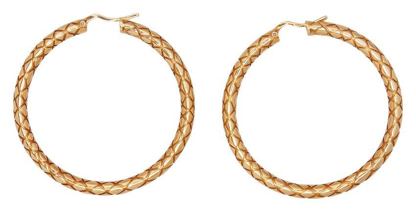商品Celine|Celine Animals 黄铜粗圈形耳环,价格¥4361,第4张图片详细描述