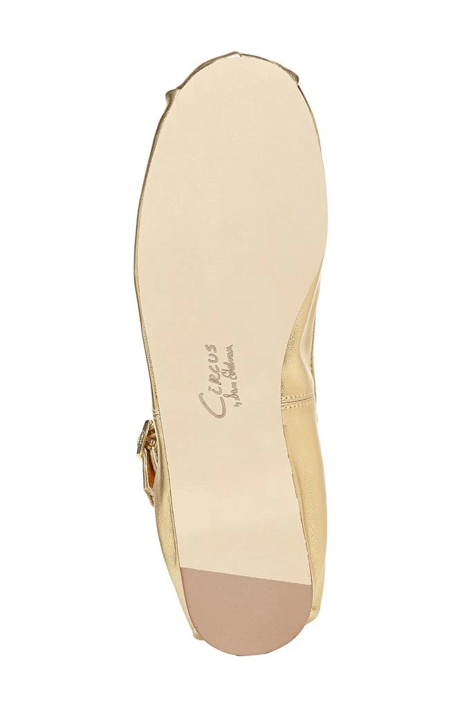 Zuri Ballet Flat 商品