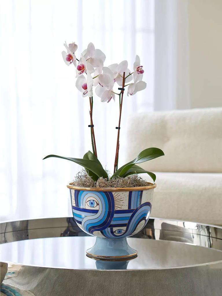 商品Jonathan Adler|Druggist Large Bowl,价格¥2072,第4张图片详细描述