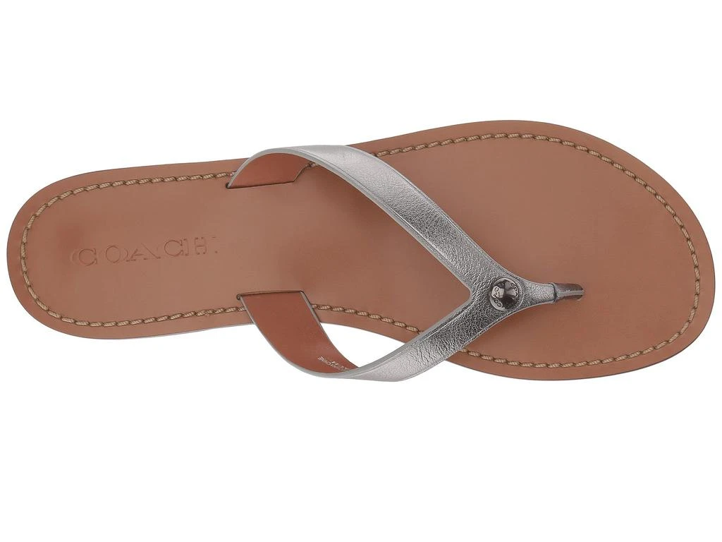 商品Coach|Thong Sandal,价格¥470,第2张图片详细描述