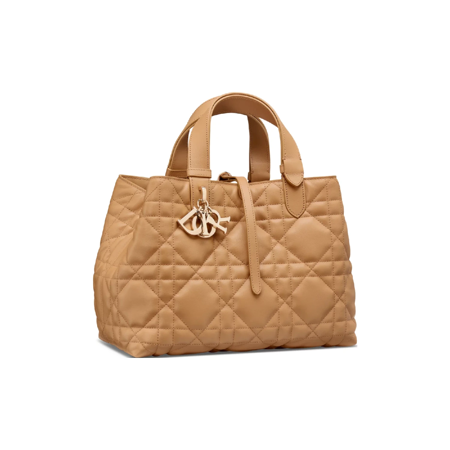 商品Dior|【预售】 迪奥 25春夏 女士 手提包 中号 Dior Toujours 手袋 M2821OSNW_M34U ,价格¥32730,第1张图片