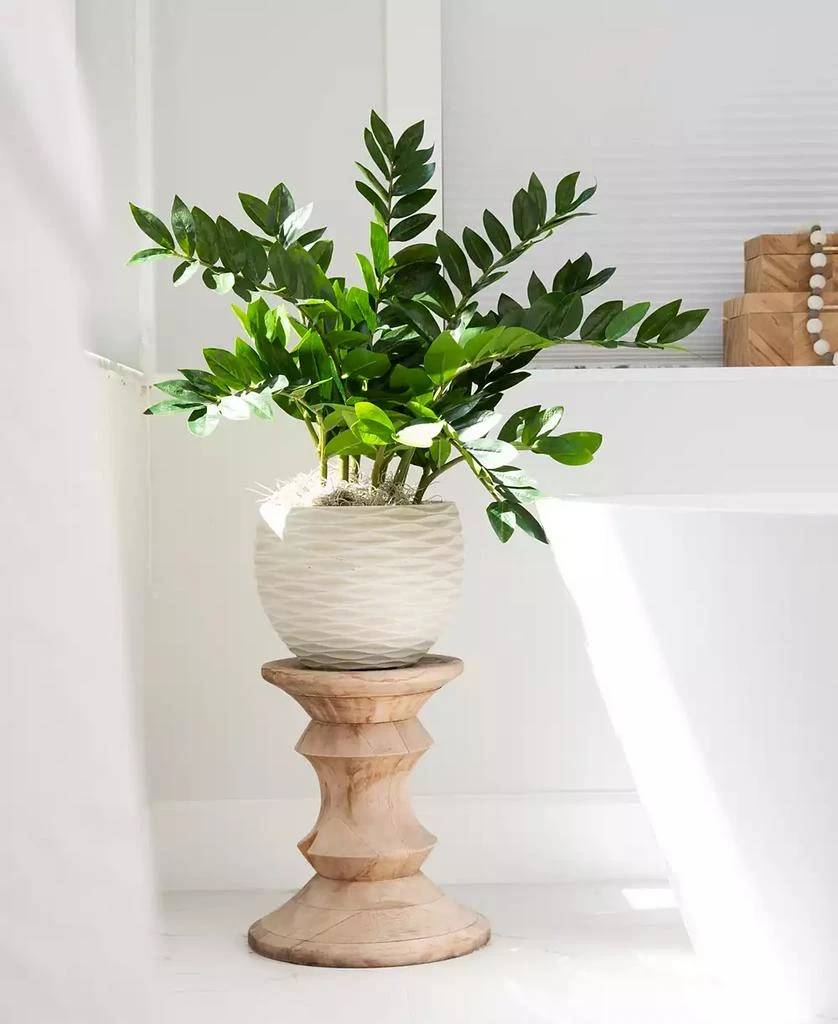 商品NEARLY NATURAL|28" Artificial Zamioculcas Plant with Decorative Planter,价格¥673,第2张图片详细描述