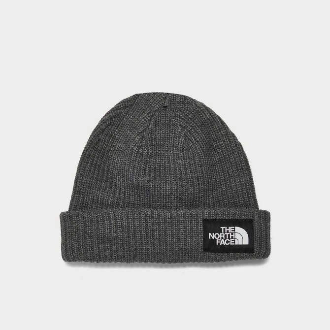 商品The North Face|The North Face Salty Lined Beanie Hat,价格¥148,第2张图片详细描述