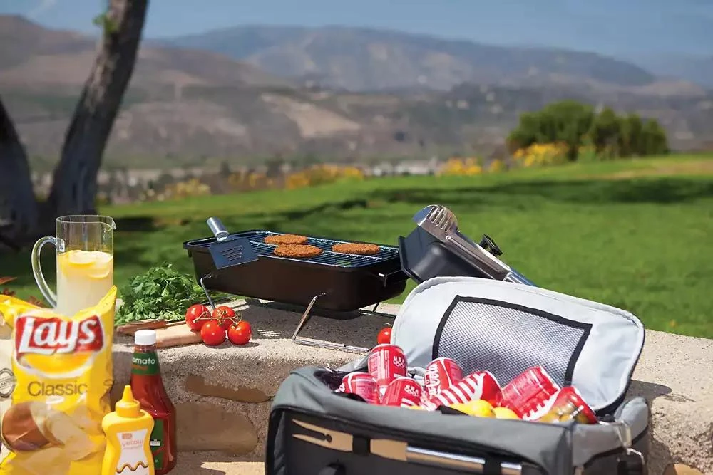 Oniva® by Buccaneer Portable Charcoal Grill & Cooler Tote 商品