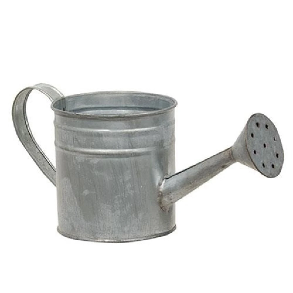 商品HomeGifo|Natural Zinc Watering Can,价格¥361,第1张图片