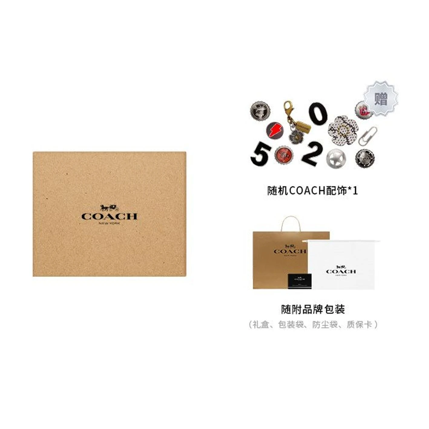 商品[国内直发] Coach|蔻驰 字母印花标志 丝巾 女款 香槟色,价格¥749,第6张图片详细描述