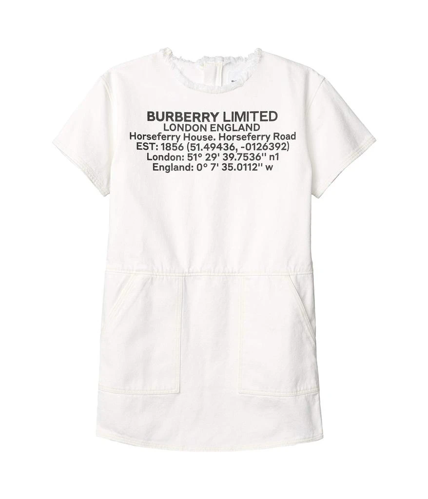 商品Burberry|Viola Shift Dress (Little Kids/Big Kids),价格¥2585,第1张图片