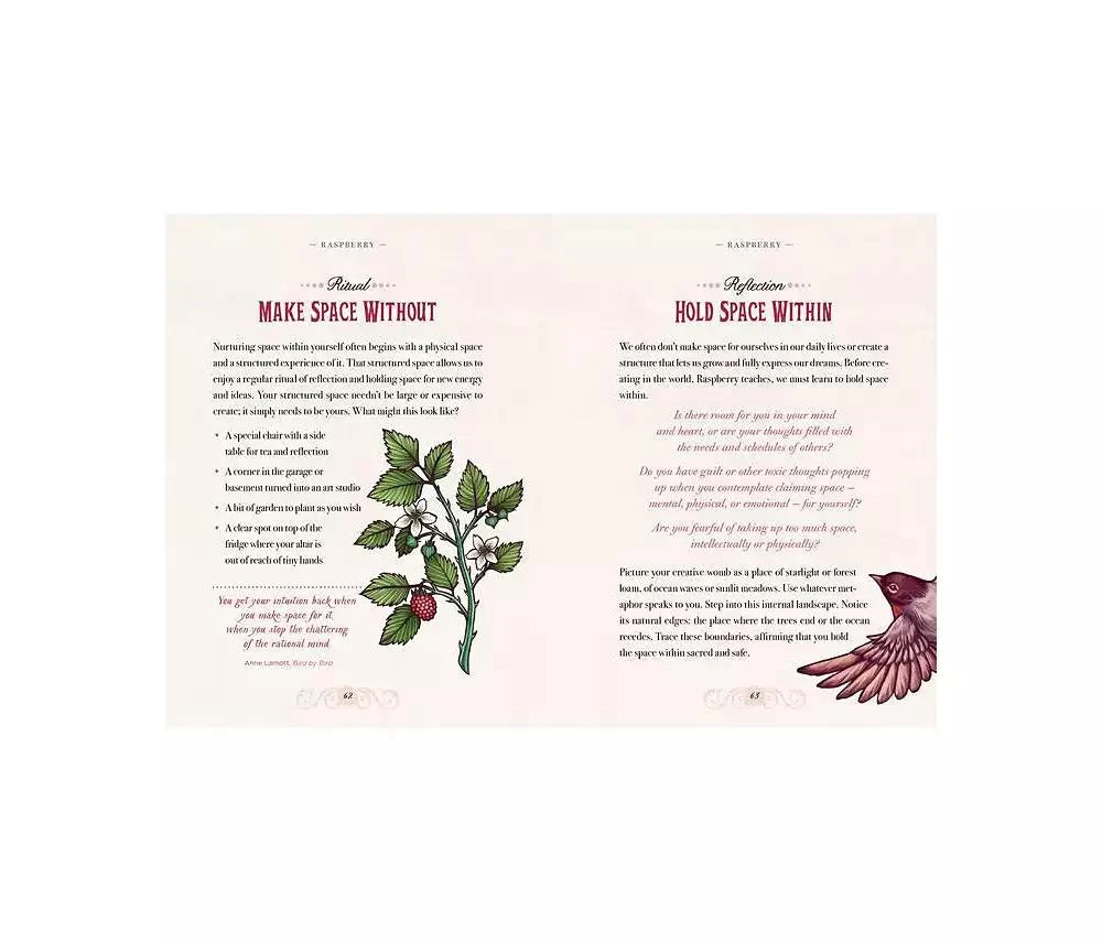 商品Barnes & Noble|The Illustrated Herbiary - Guidance and Rituals from 36 Bewitching Botanicals by Maia Toll,价格¥148,第5张图片详细描述