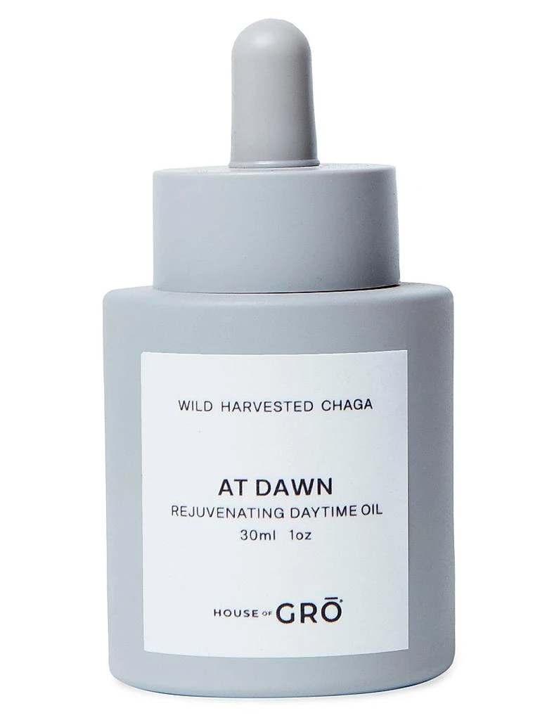 商品House of GRO|AT DAWN Rejuvenating Daytime Oil,价格¥946,第1张图片