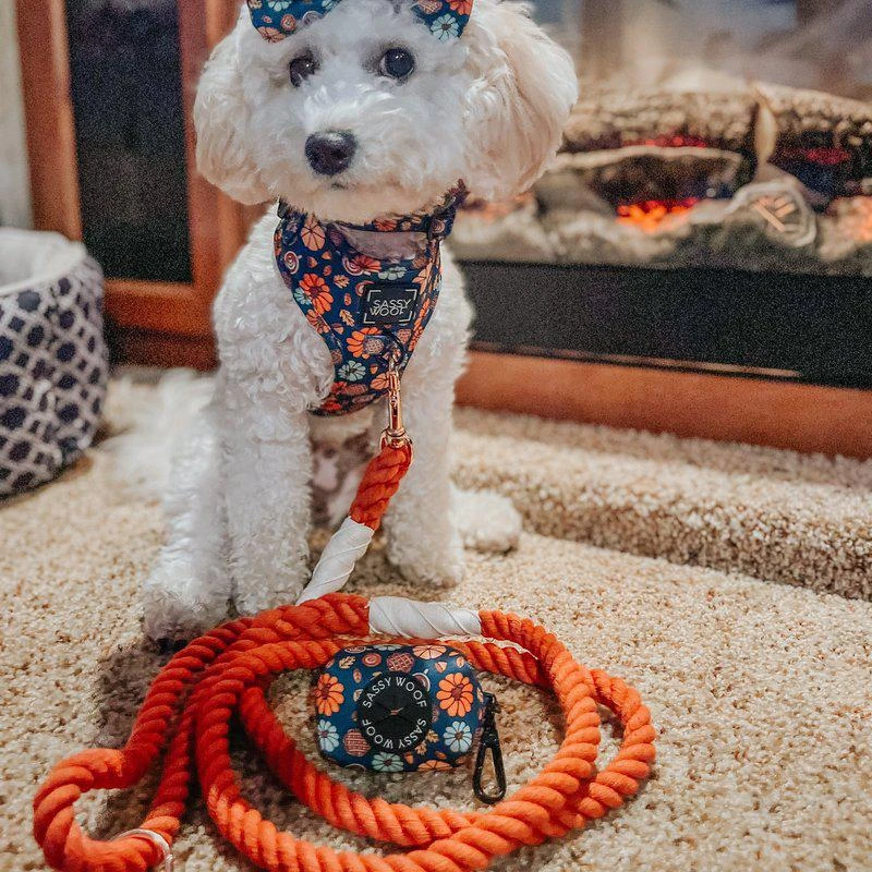 商品Sassy Woof|Rope Leash Athens,价格¥268,第2张图片详细描述