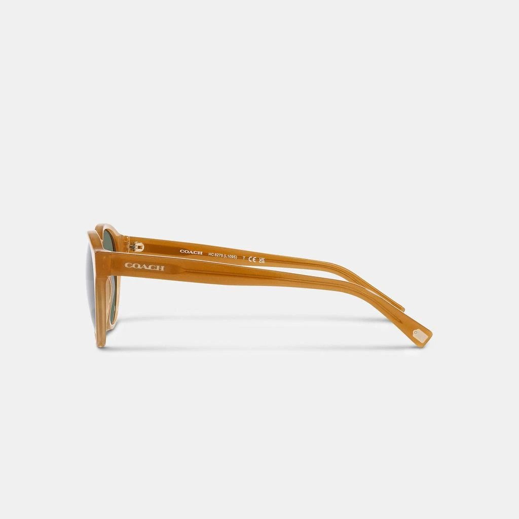 商品Coach|Coach Outlet Wythe Round Sunglasses,价格¥791,第2张图片详细描述