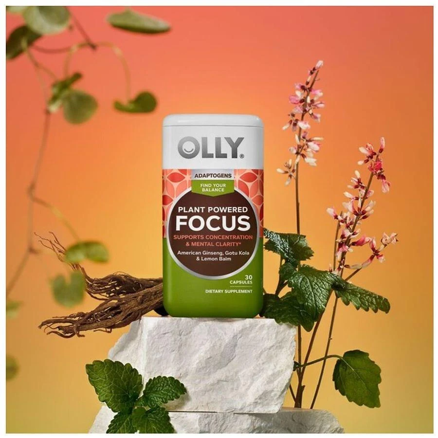 Plant Powered Focus Adaptogens 商品