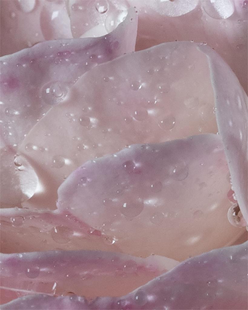l'eau A la rose Eau de Toilette, 2.4 oz.商品第4张图片规格展示