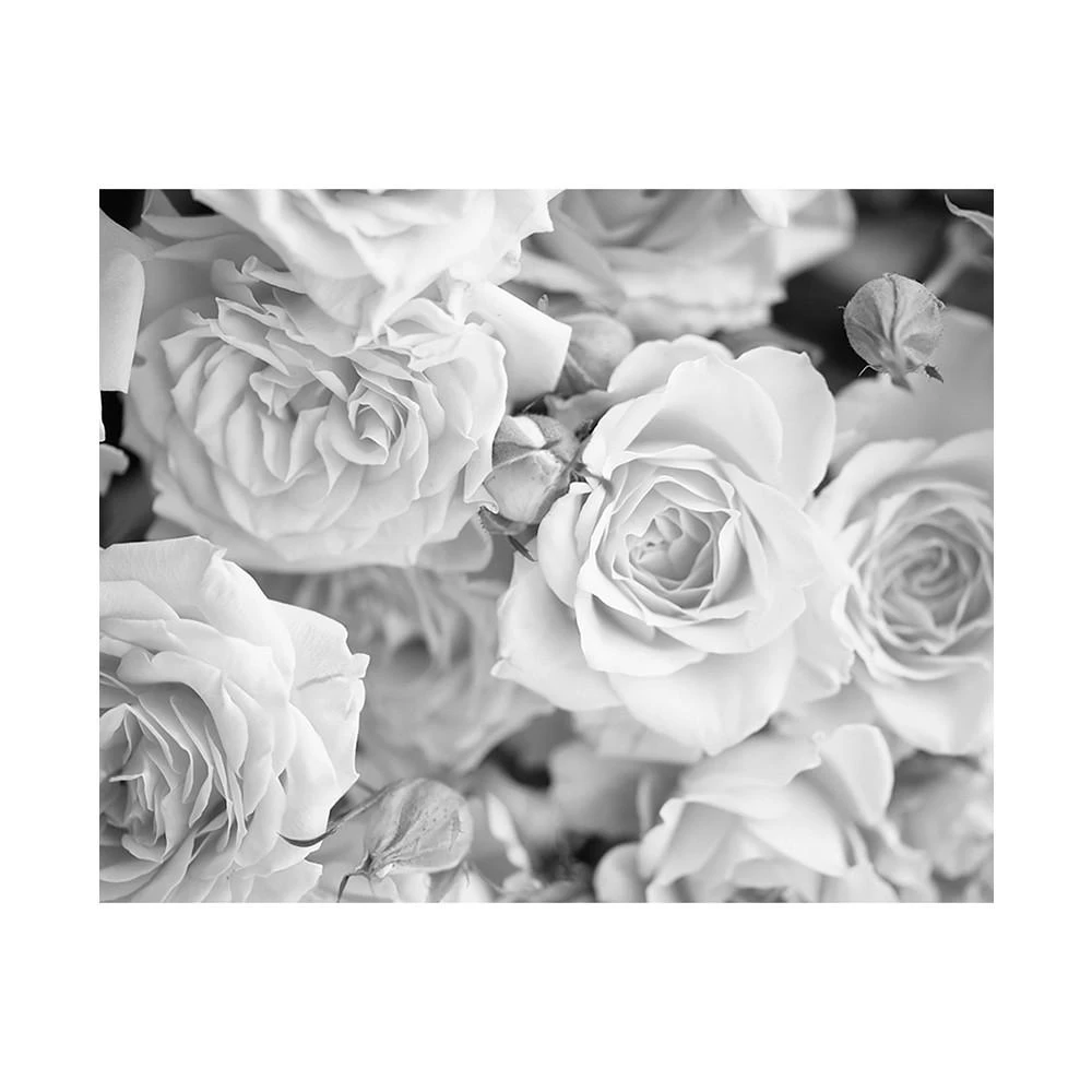 商品Brewster Home Fashions|Grey Petals Wall Mural,价格¥1518,第2张图片详细描述