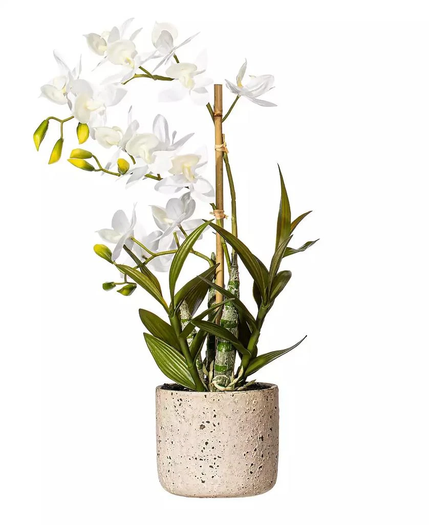 商品Vickerman|19" Artificial White Deluxe Potted Cycnoches Orchid.,价格¥563,第1张图片