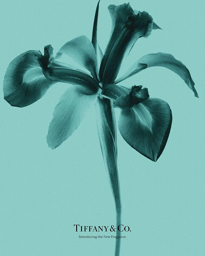 商品Tiffany & Co.|Tiffany Eau de Parfum 1.6 oz.,价格¥988,第5张图片详细描述