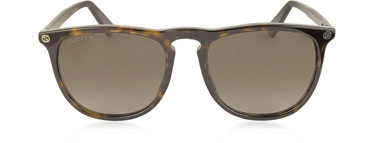 商品Gucci|Gucci GG0120S 006 Havana Acetate Rounded Square Men's Polarized Sunglasses,价格¥2226,第1张图片