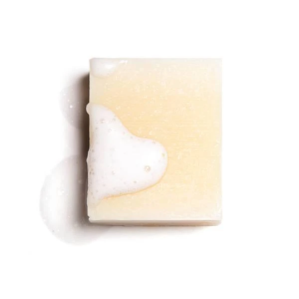 商品Christophe Robin|Christophe Robin Hydrating Shampoo Bar with Aloe Vera,价格¥134,第3张图片详细描述