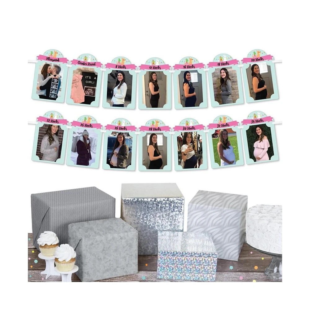 商品Big Dot of Happiness|Whole Llama Fun - DIY Baby Shower Decor - Pregnancy Picture Display Photo Banner,价格¥119,第2张图片详细描述