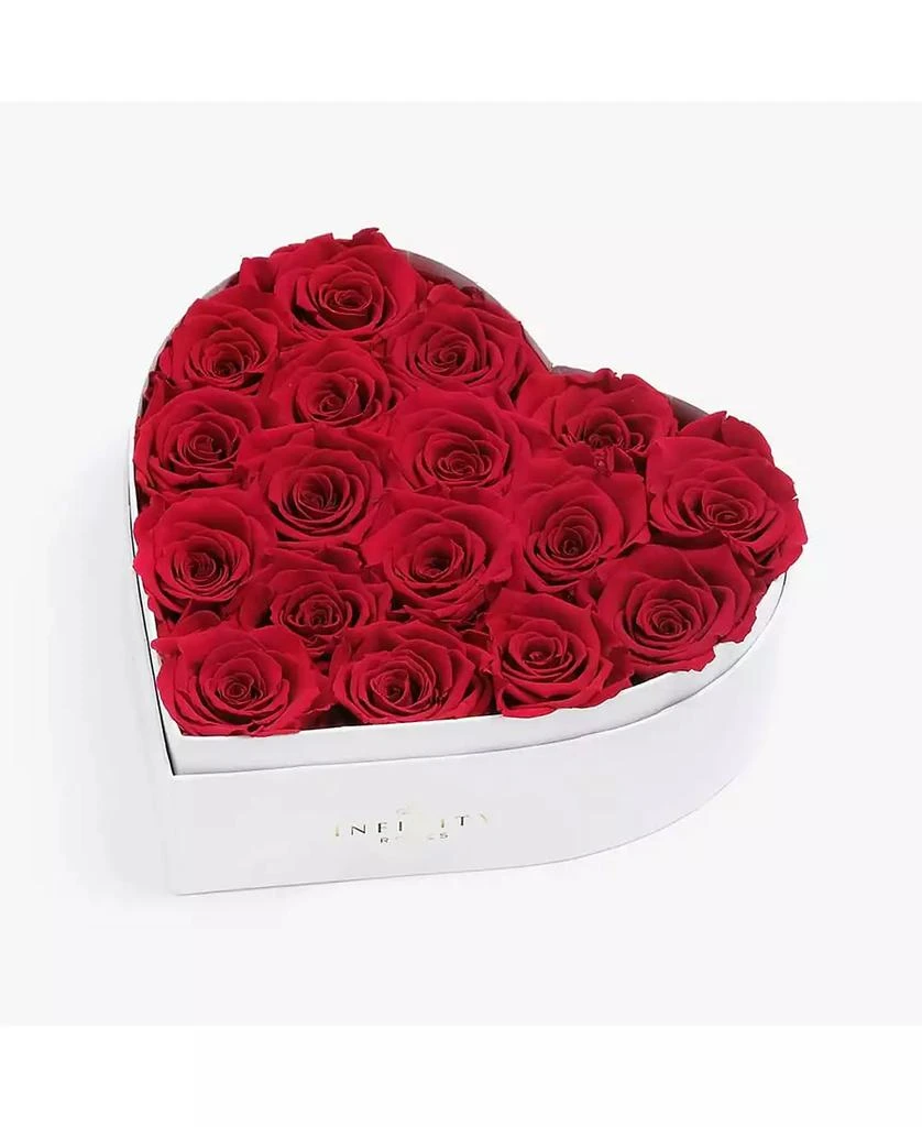 商品Infinity Roses|Heart Box of 17 Red Real Roses Preserved to Last Over a Year,价格¥1495,第1张图片