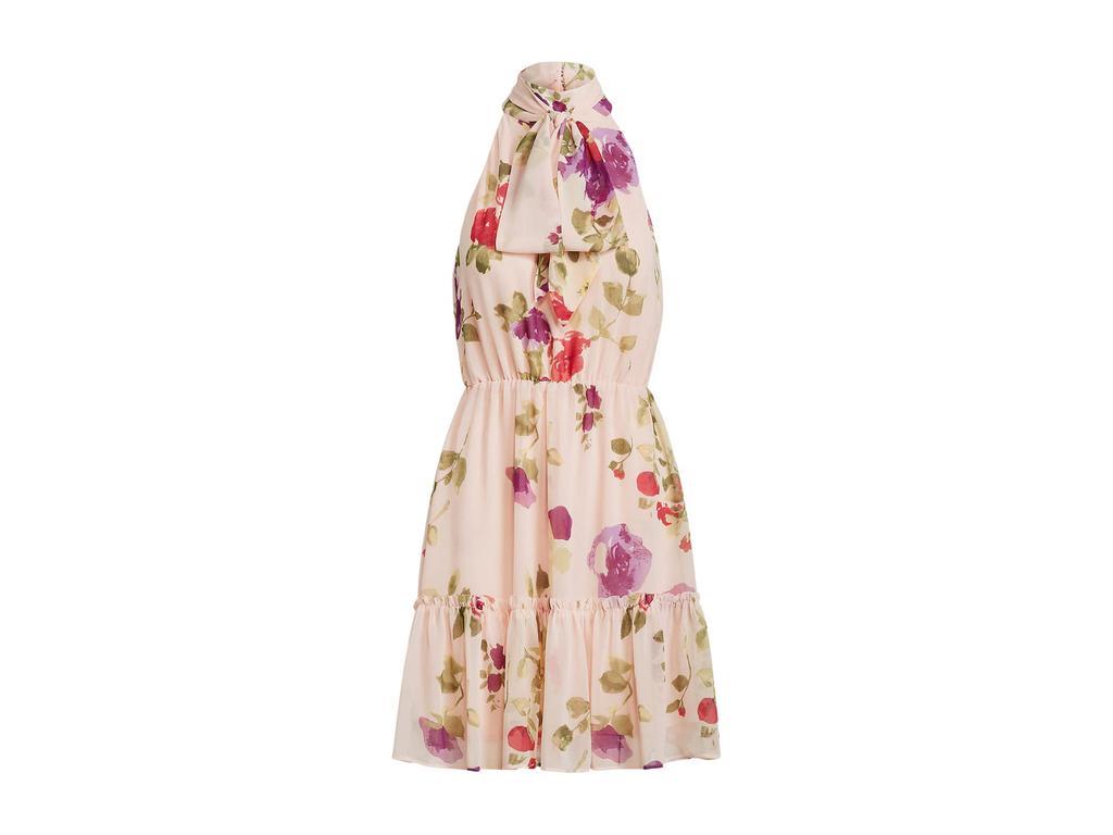 商品Ralph Lauren|Floral Chiffon Sleeveless Dress,价格¥494,第6张图片详细描述