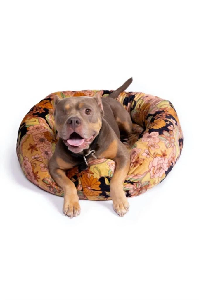 商品Johnny Was|Wonder Years Large Dog Bed In Multi,价格¥1094,第2张图片详细描述