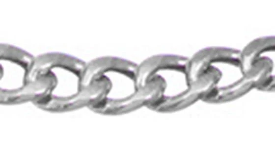 商品FZN|Sterling Silver Curb Chain Necklace,价格¥649,第2张图片详细描述