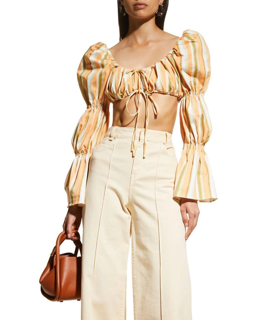 商品Autumn Adeigbo|Betty Striped Long Cinched Sleeve Crop Top,价格¥681,第1张图片