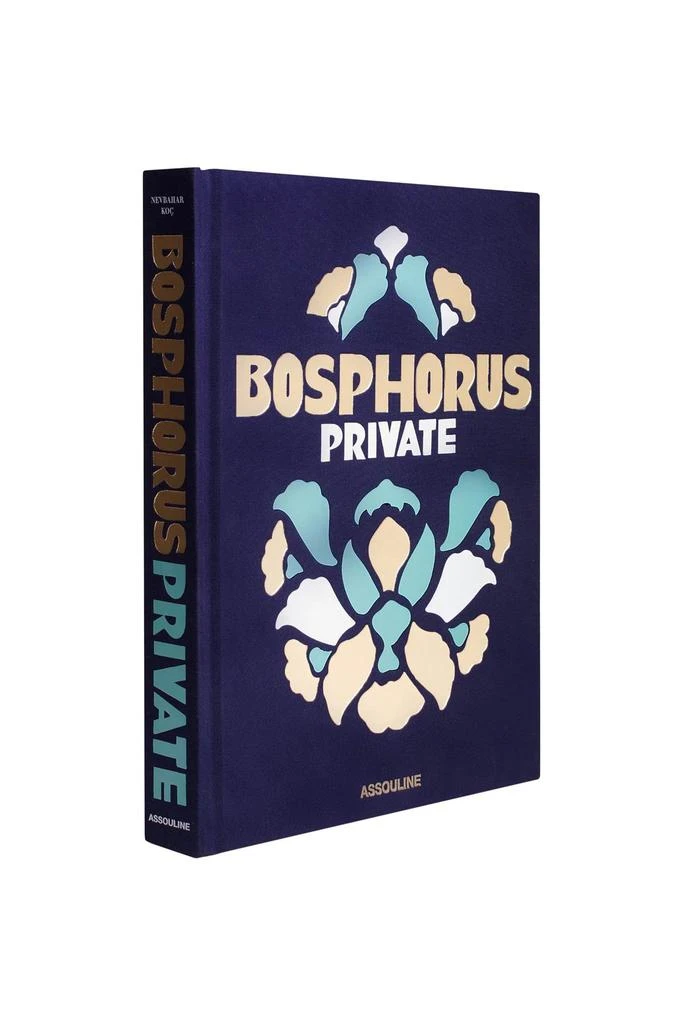 商品Assouline|private bosphorus,价格¥783,第3张图片详细描述