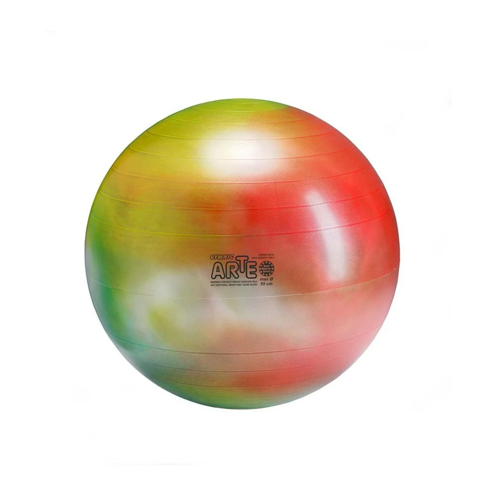 商品Gymnic|Arte Exercise Ball Plus 55,价格¥424,第1张图片