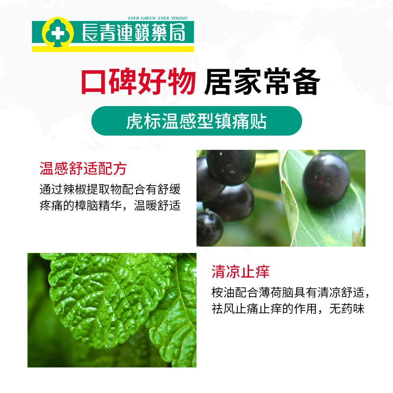 中国香港tiger balm虎标膏药贴清凉版27片 商品