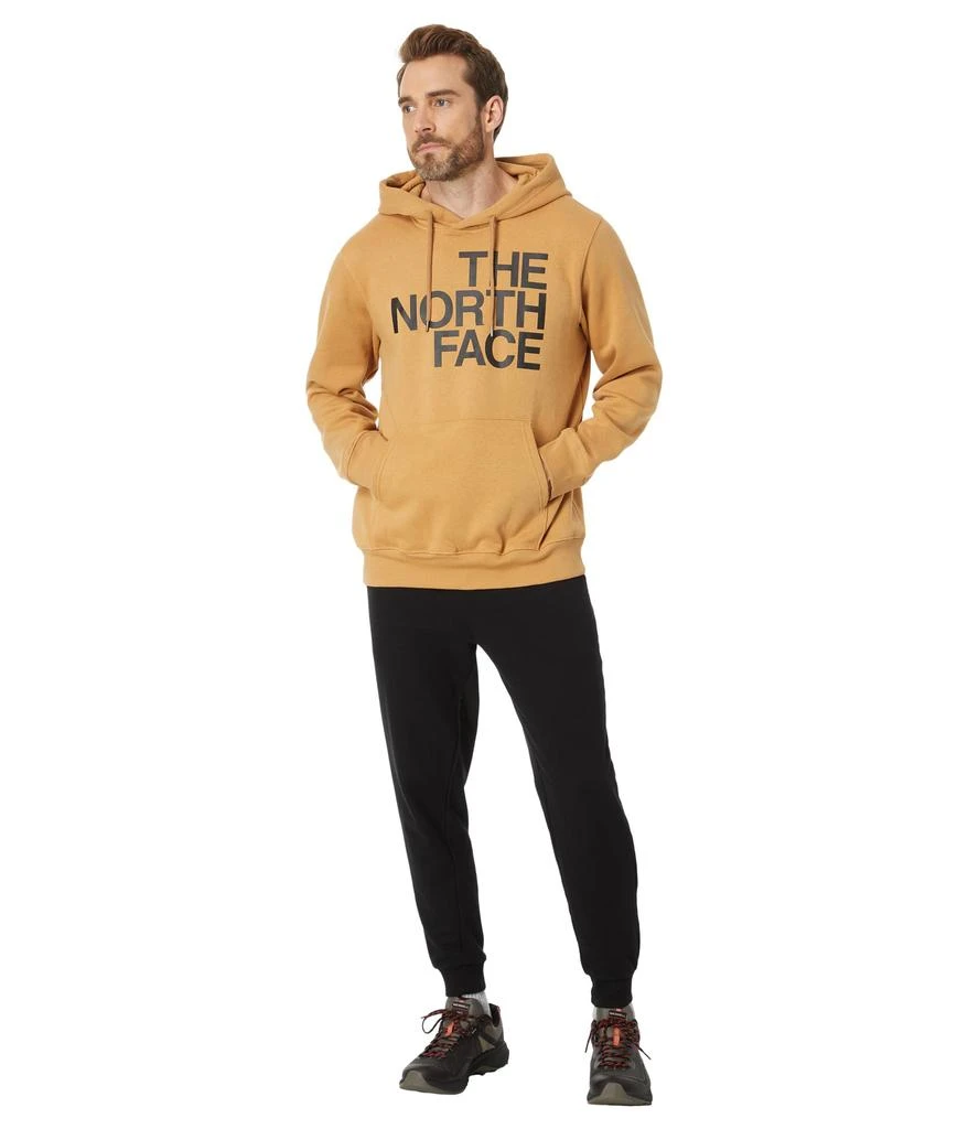 商品The North Face|Brand Proud Hoodie,价格¥282,第4张图片详细描述