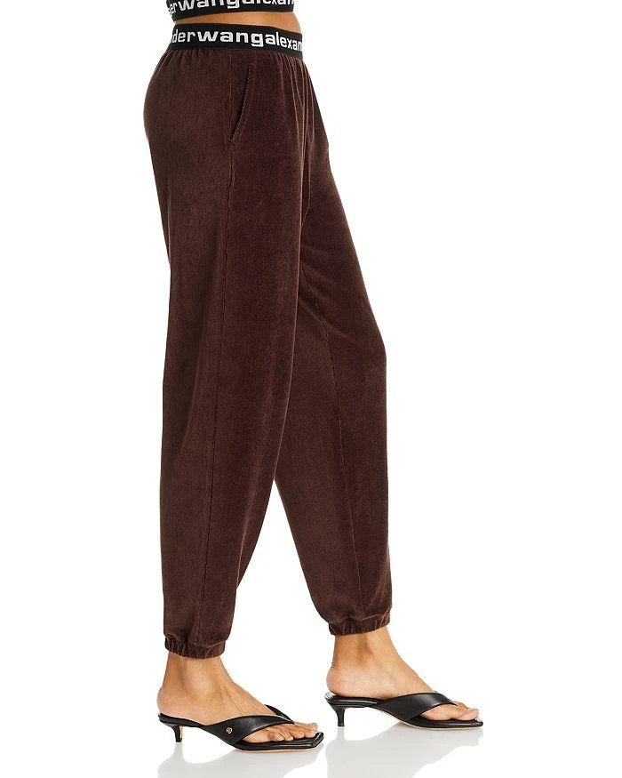 商品Alexander Wang|Logo Waist Stretch Corduroy Pants,价格¥1304,第4张图片详细描述