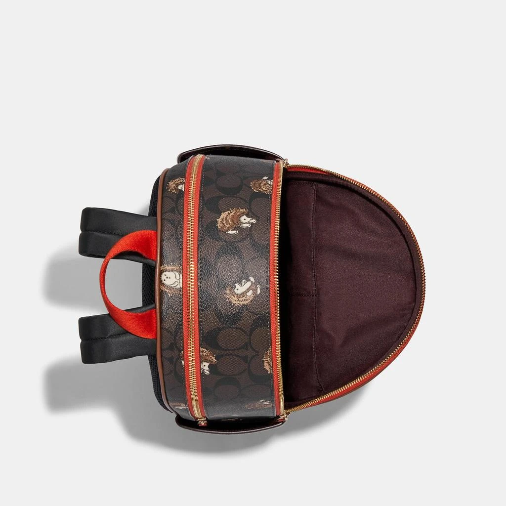 商品Coach|Coach Outlet Court Backpack In Signature Canvas With Hedgehog Print,价格¥1664,第2张图片详细描述