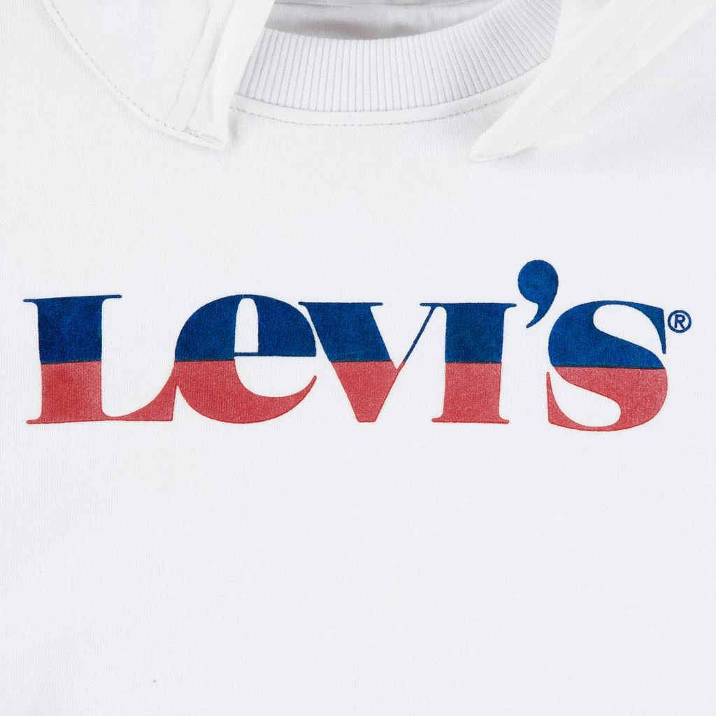 商品Levi's|Boys Logo Pullover Hoodie,价格¥38,第5张图片详细描述