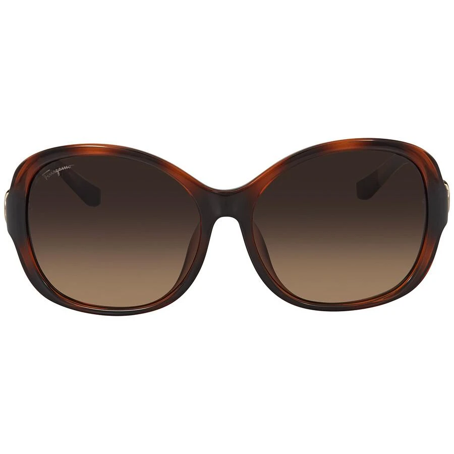 商品Salvatore Ferragamo|Salvatore Ferragamo Brown Gradient Butterfly Sunglasses SF744SLA 214 59,价格¥586,第1张图片