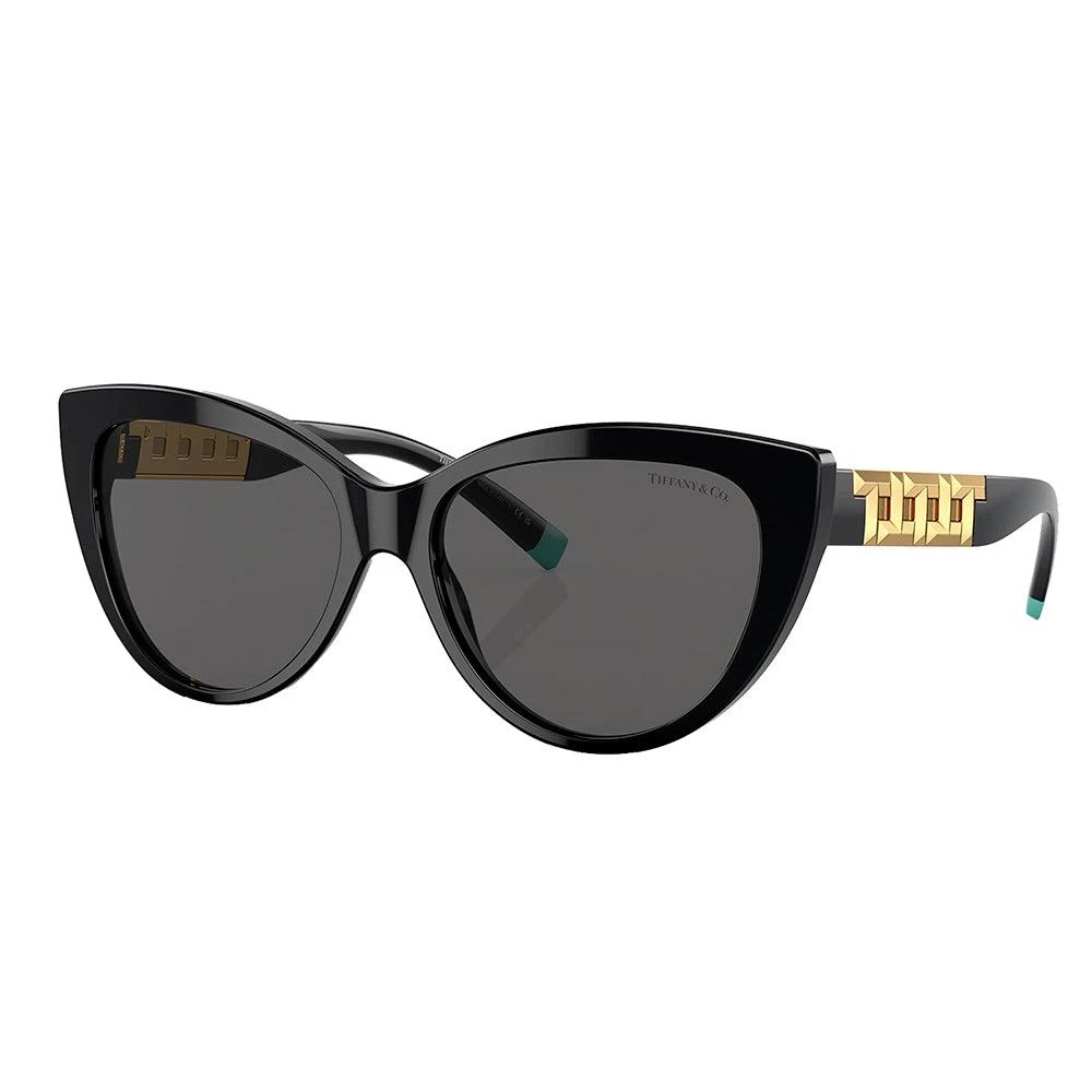 商品Tiffany & Co.|Tiffany & Co.  TF 4196 8001S4 56mm Womens Cat-Eye Sunglasses,价格¥1718,第1张图片