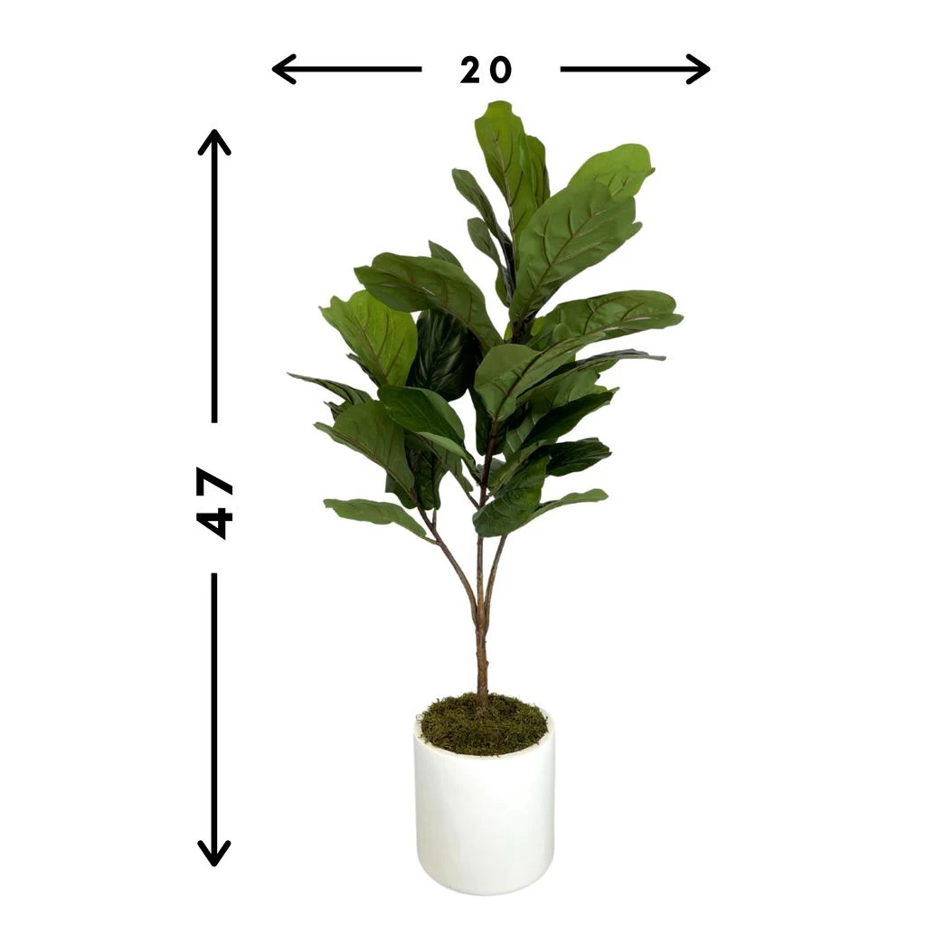 商品Creative Displays|Fiddle Leaf Tree,价格¥1707,第3张图片详细描述