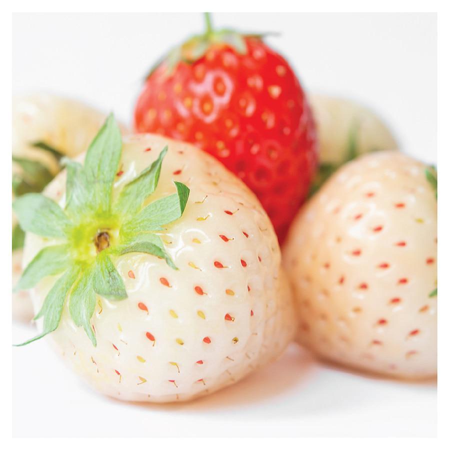 商品Olay|Fresh Outlast Body Wash Notes of White Strawberry & Mint,价格¥52,第7张图片详细描述
