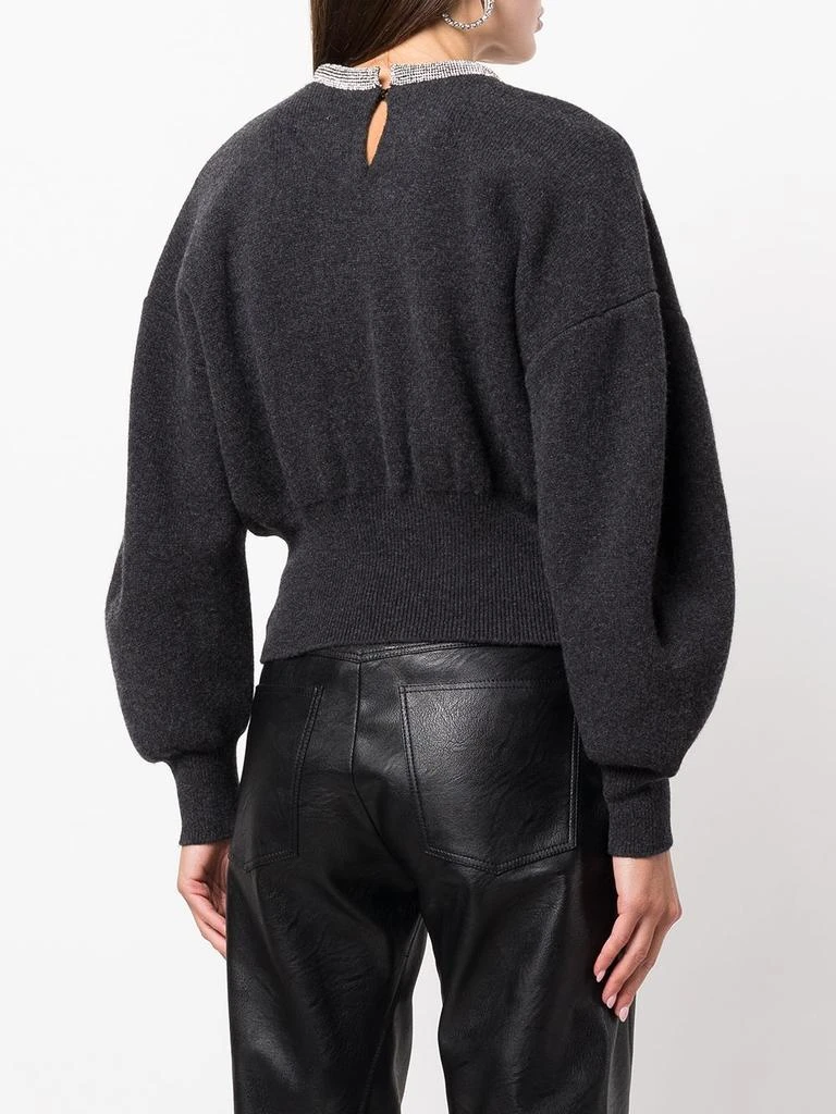 商品Alexander Wang|ALEXANDER WANG WOMEN PULLOVER WITH CRYSTAL TUBULAR NECKLACE,价格¥3187,第2张图片详细描述