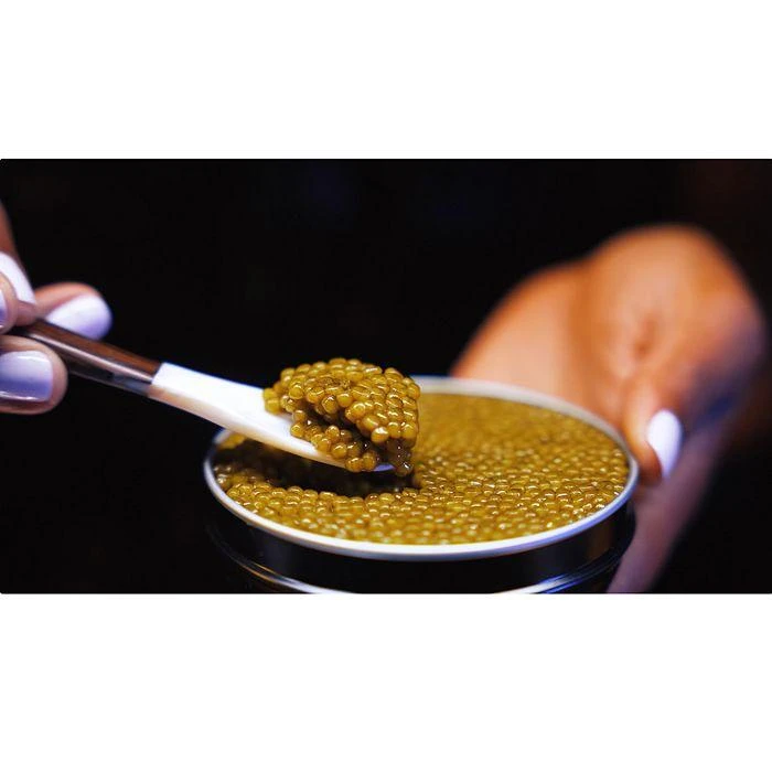 Nefertiti Caviar (Golden Kaluga Hybrid) 商品