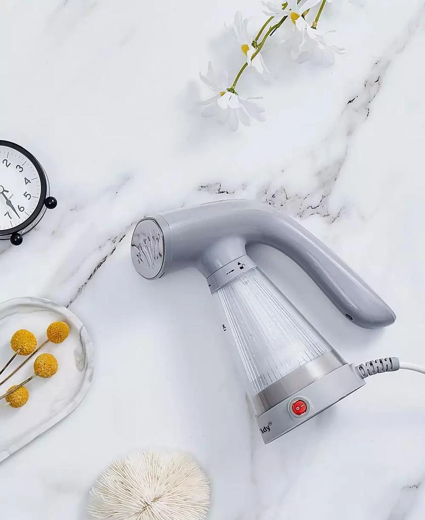 TS-20 Tidy Steam Handheld Garment Steamer with Clear View Tank and Stainless Steel Plate 商品