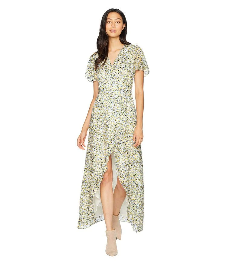 商品Juicy Couture|Ditsy Burnout Chiffon Maxi Dress,价格¥893,第1张图片